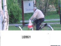 I"m A Ludwig