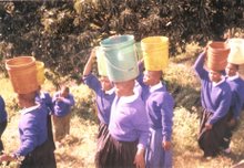 Students with water