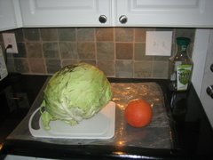 Behold the Cabbage!