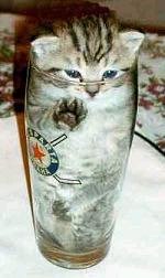 APRETA EL GATILLO