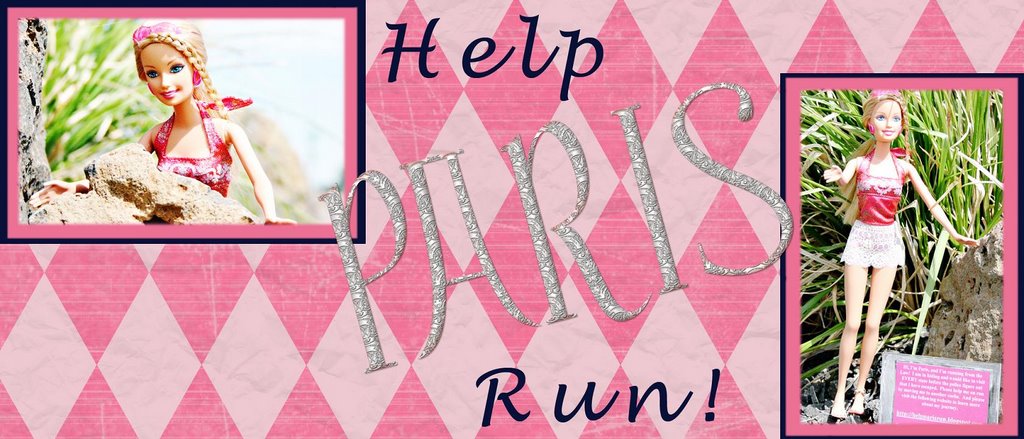 Help Paris Run