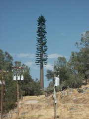 Stealth Cell Phone Tower