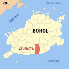 Ön Bohol