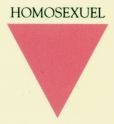 TRIANGULO ROSA