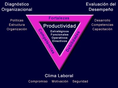 MODELO DE PRODUCTIVIDAD