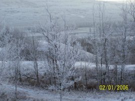 An Alberta Winter