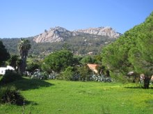 Bolonia, Casa Pepe, El Jaleo