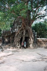Camboja - 2005
