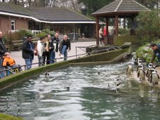 burgers zoo