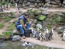 burgers zoo 2