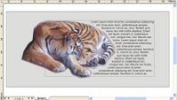 Ergebnis in CorelDraw