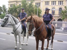 Police transport