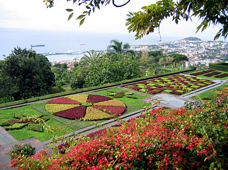 Fotos da Madeira