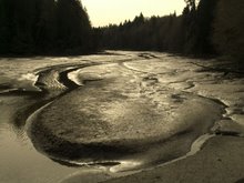 The Wild West: Low Tide