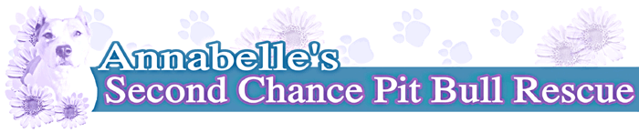 Annabelle's Second Chance Blog