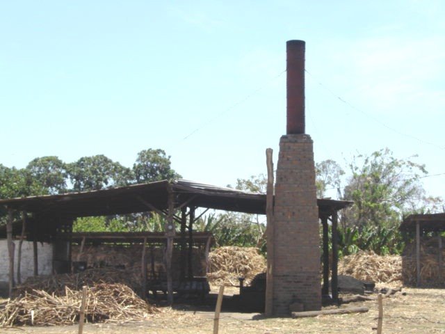 Local sugarcane plant