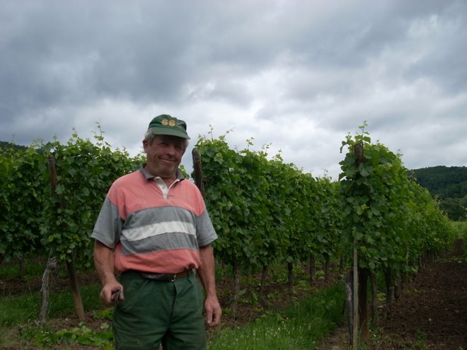 Andre Meyer, Alsatian grape grower
