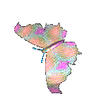 "Butterfly"