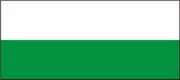 BANDERA DEL MUNICIPIO