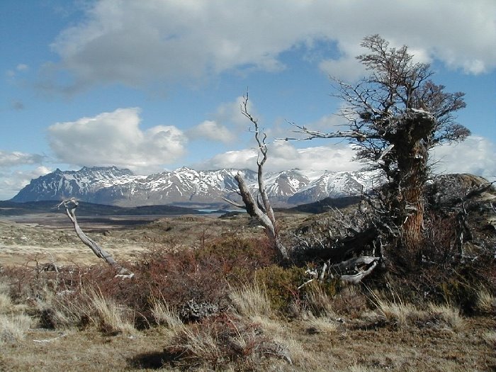 Parque Nacional Perito Moreno