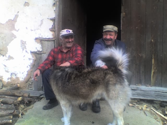 Risto i Blazo