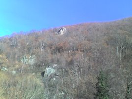 Kartale