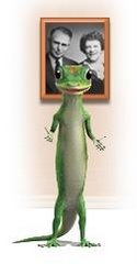 Geico Insurance Quote