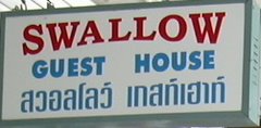 Swallow Tour & Guesthouse