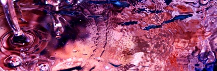 A frog in a well does not know the great sea