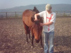 Me and My Horse