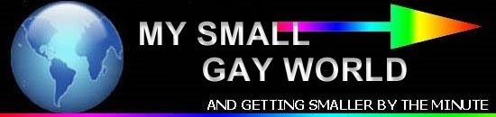 My Small Gay World