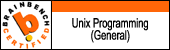 Brainbench Unix Programming
