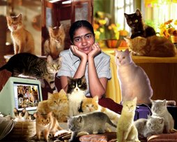 My wife like cats very much