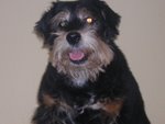 Peludo