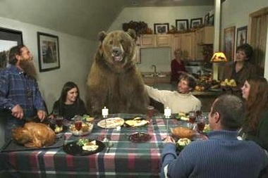 brutus_grizzly_bear.jpg