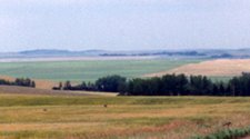 A View of the prairies - Alberta