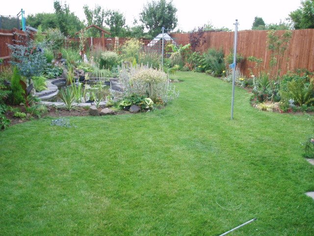 My new garden plan 06
