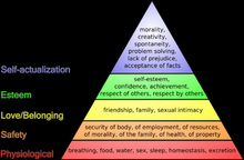 Maslow's Heirarchy of Needs Pyramid