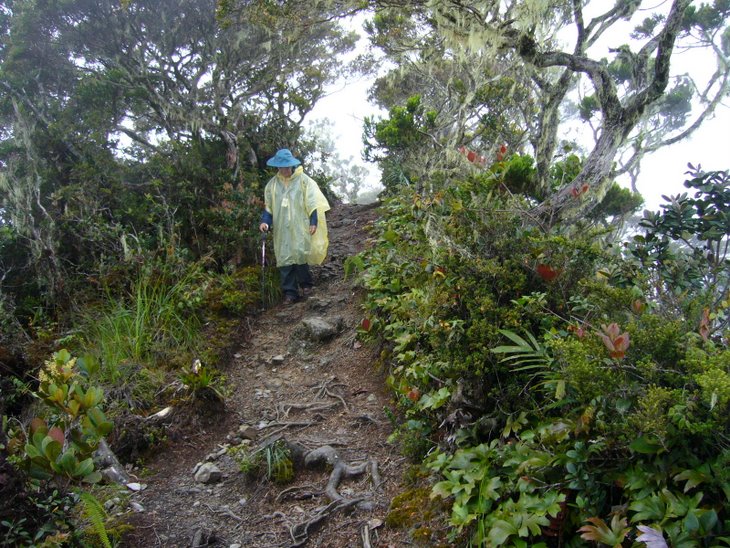 Mendaki Gunung Kinabalu