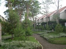 One Rare Green Corner of Bandung