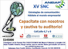 XV SNC