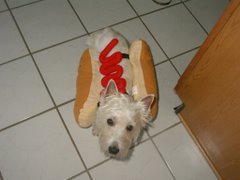 Hot Dog Jack