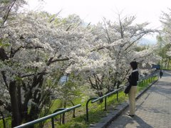 春・札幌