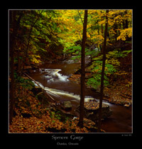 Spencer Creek, Dundas Ontario Canada