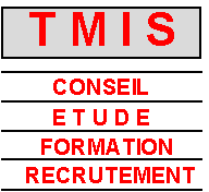 TMIS