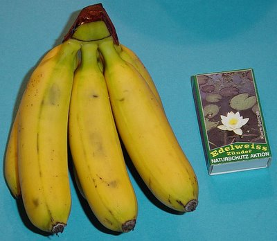 Mini-Bananen