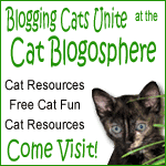 Visit The Cat Blogosphere