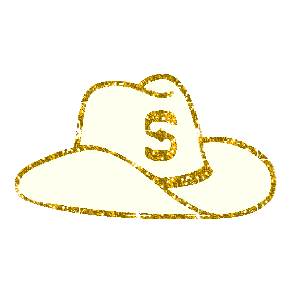 sparkling cowgirl hat