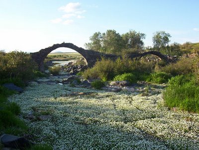 Puente sobre el Guadamatilla
