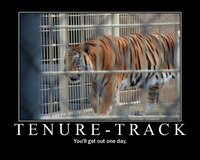 Motivator: Tenure-track